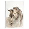 Stupell Industries Gentle Farm Horse Portrait Wall Plaque Art
